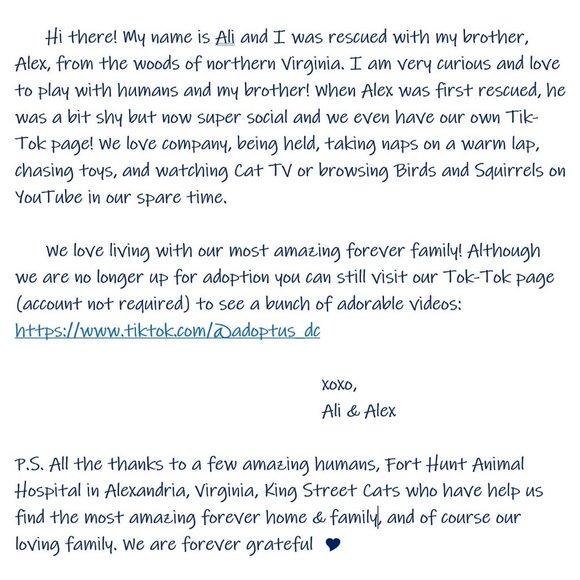 Alex & Ali - Picture 2 of 9